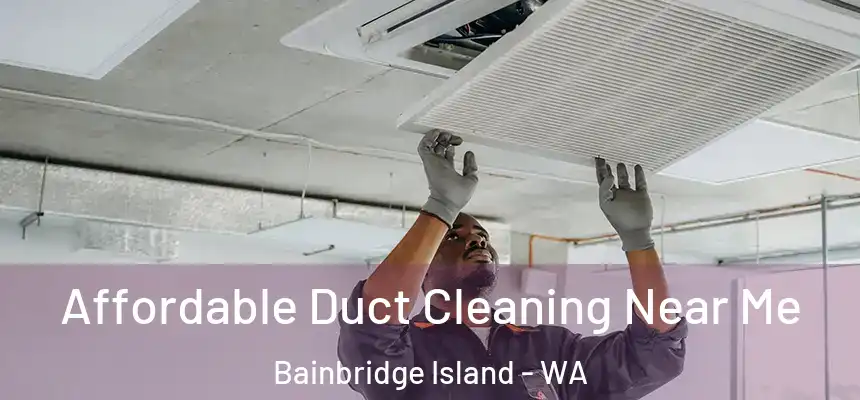  Affordable Duct Cleaning Near Me Bainbridge Island - WA
