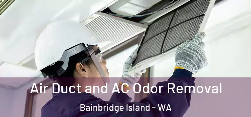  Air Duct and AC Odor Removal Bainbridge Island - WA
