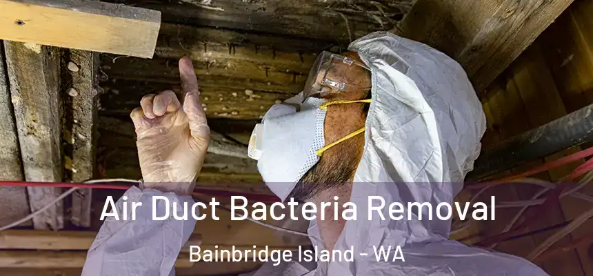  Air Duct Bacteria Removal Bainbridge Island - WA