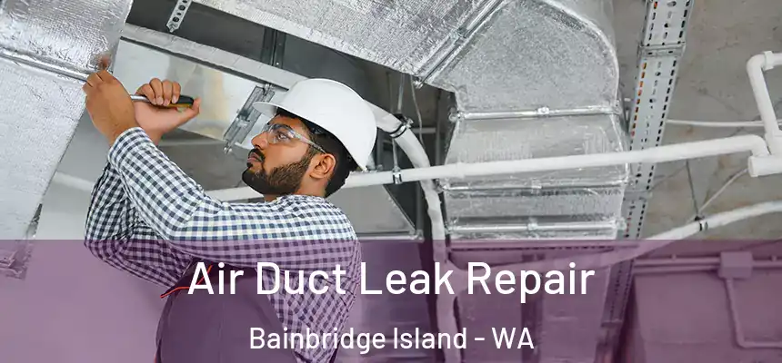  Air Duct Leak Repair Bainbridge Island - WA