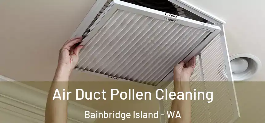  Air Duct Pollen Cleaning Bainbridge Island - WA