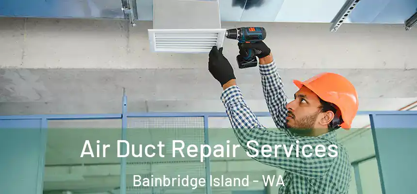  Air Duct Repair Services Bainbridge Island - WA