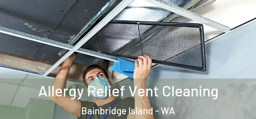 Allergy Relief Vent Cleaning Bainbridge Island - WA