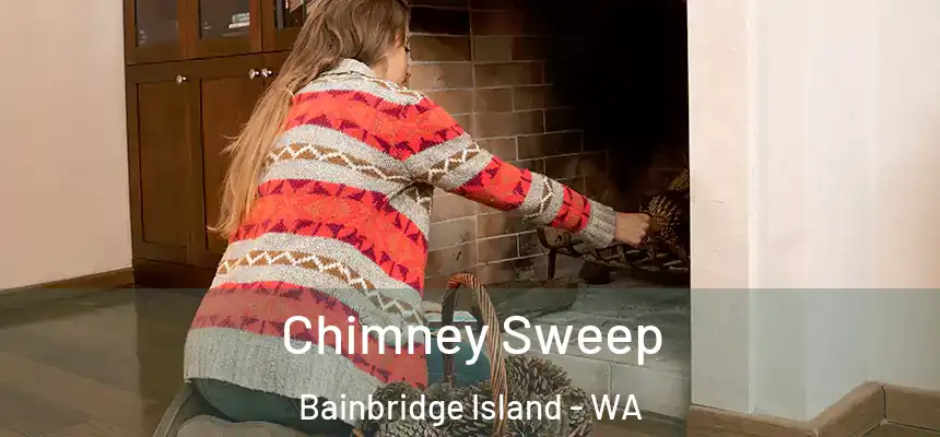  Chimney Sweep Bainbridge Island - WA