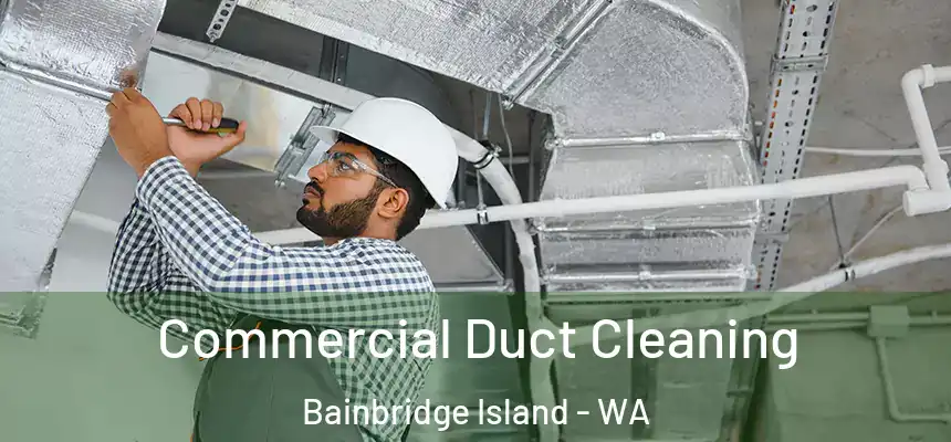  Commercial Duct Cleaning Bainbridge Island - WA
