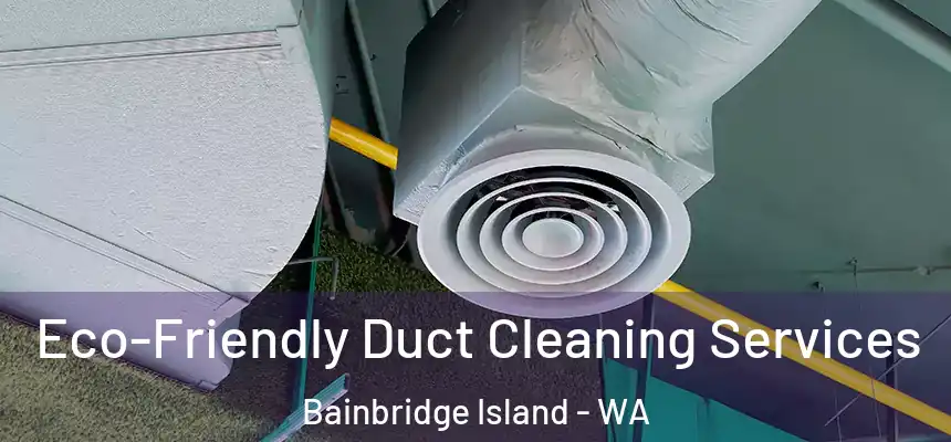  Eco-Friendly Duct Cleaning Services Bainbridge Island - WA