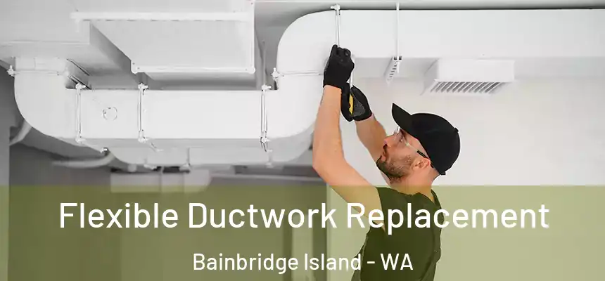Flexible Ductwork Replacement Bainbridge Island - WA