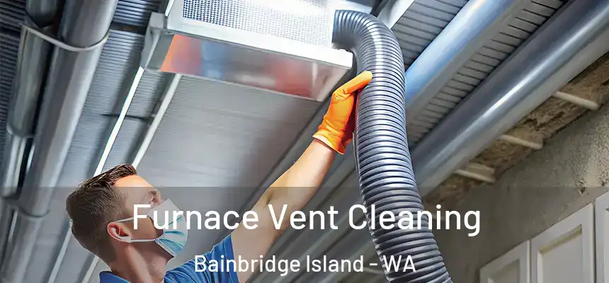  Furnace Vent Cleaning Bainbridge Island - WA