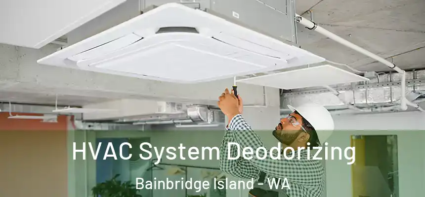  HVAC System Deodorizing Bainbridge Island - WA