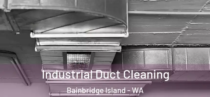  Industrial Duct Cleaning Bainbridge Island - WA