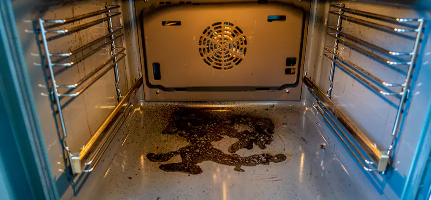 Our Dryer Vent Mold Cleaning Services in Bainbridge Island, WA