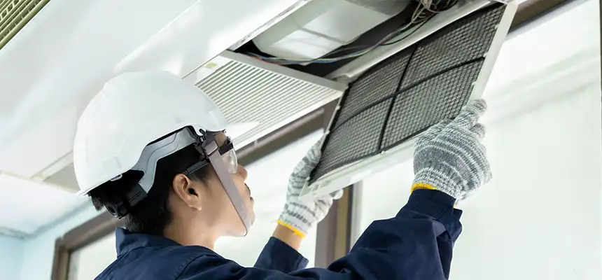 Our Lint Trap Cleaning Service Services in Bainbridge Island, WA