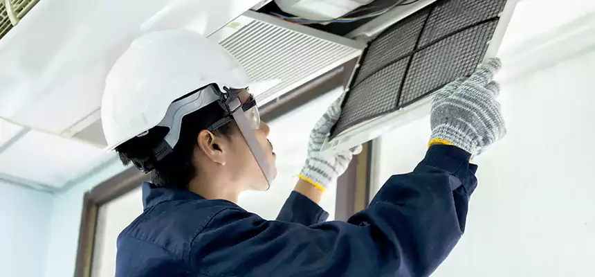 Our Mold & Mildew Removal from Air Ducts Services in Bainbridge Island, WA