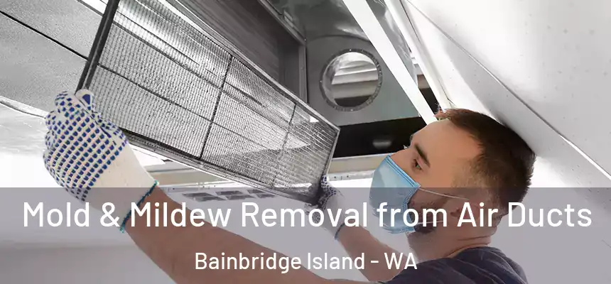  Mold & Mildew Removal from Air Ducts Bainbridge Island - WA