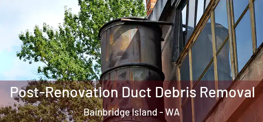  Post-Renovation Duct Debris Removal Bainbridge Island - WA