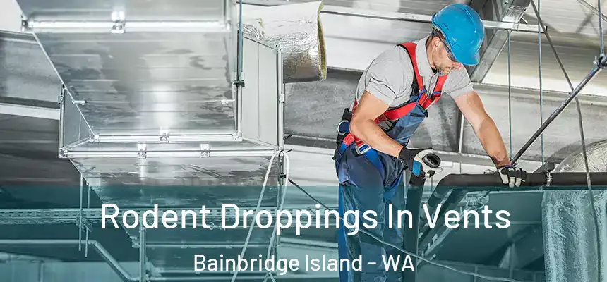  Rodent Droppings In Vents Bainbridge Island - WA