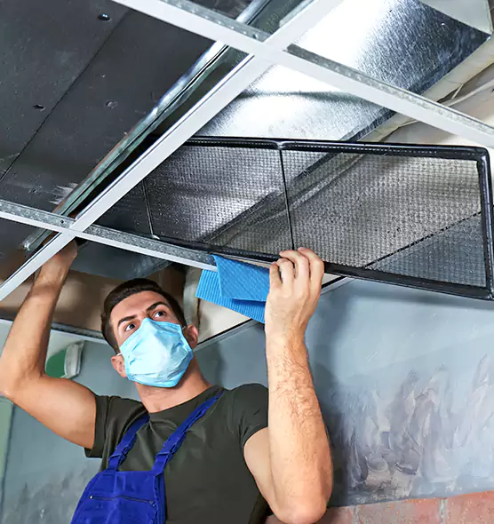 Professional Air Duct Pollen Cleaning in Bainbridge Island, WA