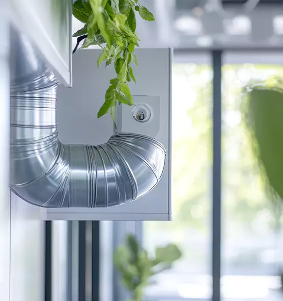 Professional Eco-Safe Dryer Vent Cleaning in Bainbridge Island, WA