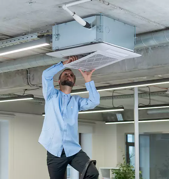Advanced Rodent Droppings In Vents in Bainbridge Island, WA