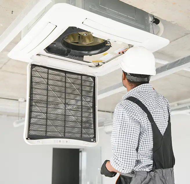 Why Homeowners & Businesses Trust Us in Bainbridge Island, WA?