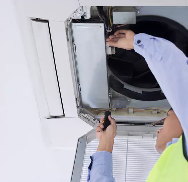 Why Homeowners & Businesses Trust Us in Bainbridge Island, WA?