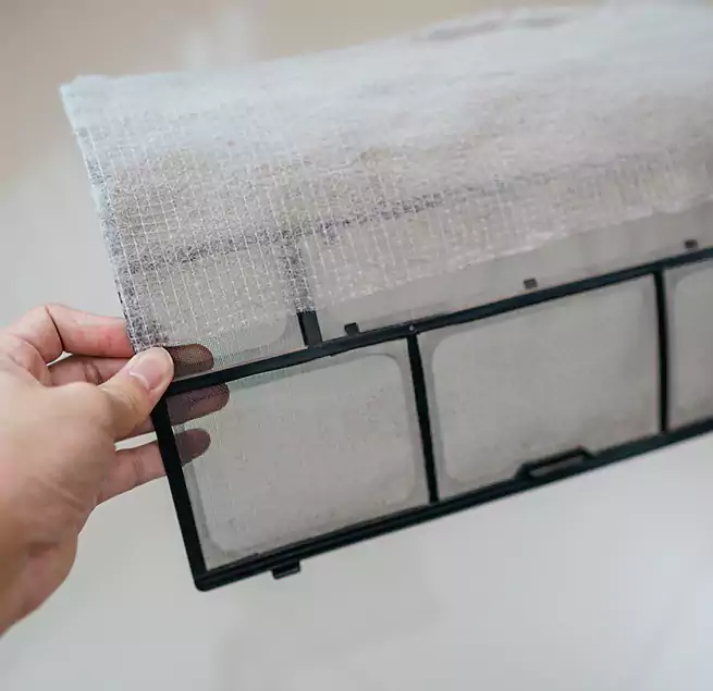 Why Homeowners & Businesses Trust Us in Bainbridge Island, WA?