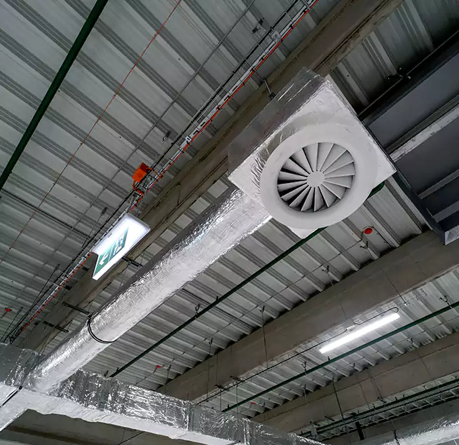 Why Homeowners & Businesses Trust Us in Bainbridge Island, WA