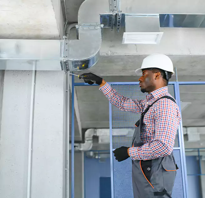 Why Homeowners & Businesses Trust Us in Bainbridge Island, WA