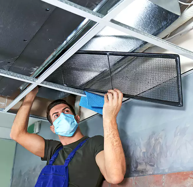 Why Homeowners Businesses Trust Us in Bainbridge Island, WA