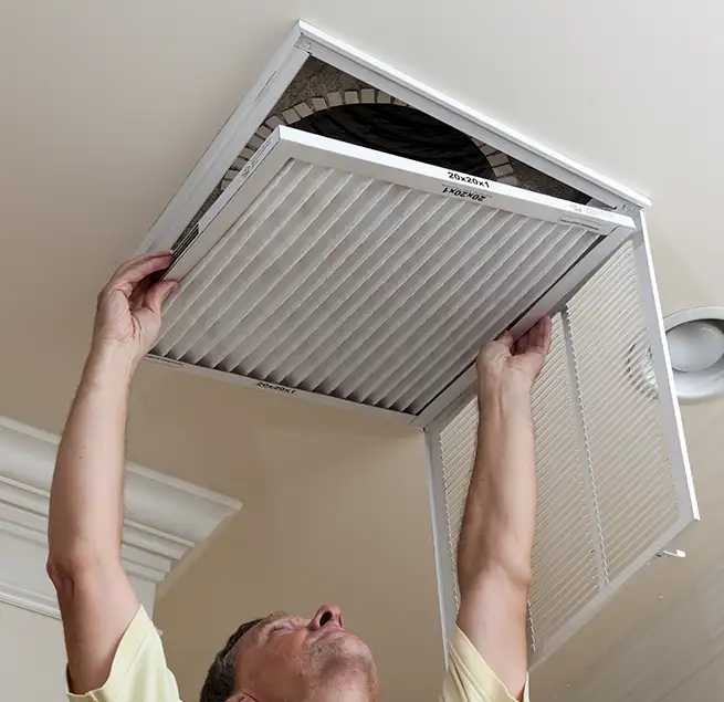 Why Homeowners & Businesses Trust Us in Bainbridge Island, WA?