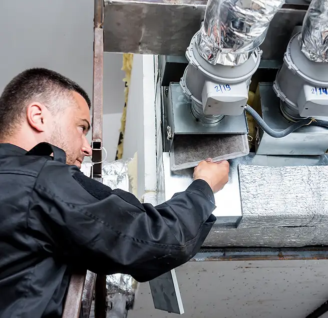 Why Homeowners & Businesses Trust Us in Bainbridge Island, WA?