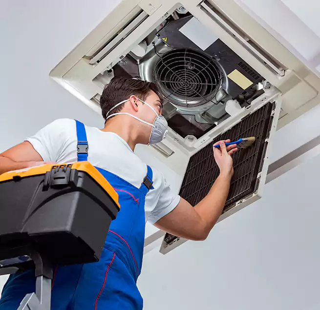 Why Homeowners & Businesses Trust Us in Bainbridge Island, WA?